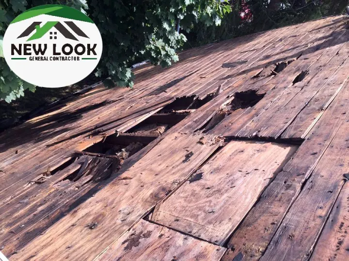 Rotted roof decking with damaged boards